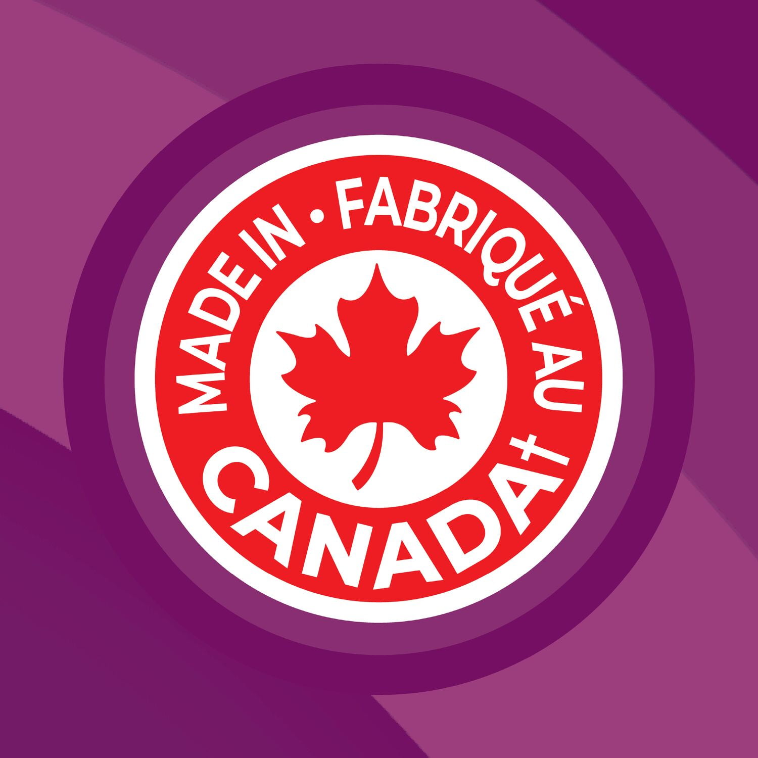 Lay's All Dressed flavoured Potato Chips, 220 g.