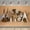 5.9x3.6FT, variant on Boho Bear Baby Shower Cute Backdrop Boho Pampas Photography Background Camping Bear Balloons Kids 1st Birthday Party Cake Smash Decor Backdrop Photo Studio