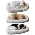 thumbnail image 2 of 3 Piezas Durmiendo Respirando Juguetes de Animales de Peluche en Cama Regalo de Bebé Coleccionable Sunnimix Respirando gato durmiendo, 2 of 8