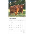 thumbnail image 4 of HIGHLAND COWS 2025 SQUARE WRAP, 4 of 9