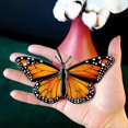 thumbnail image 2 of Butterflies Sun Catcher for Car Butterfly Decorations B, 2 of 5