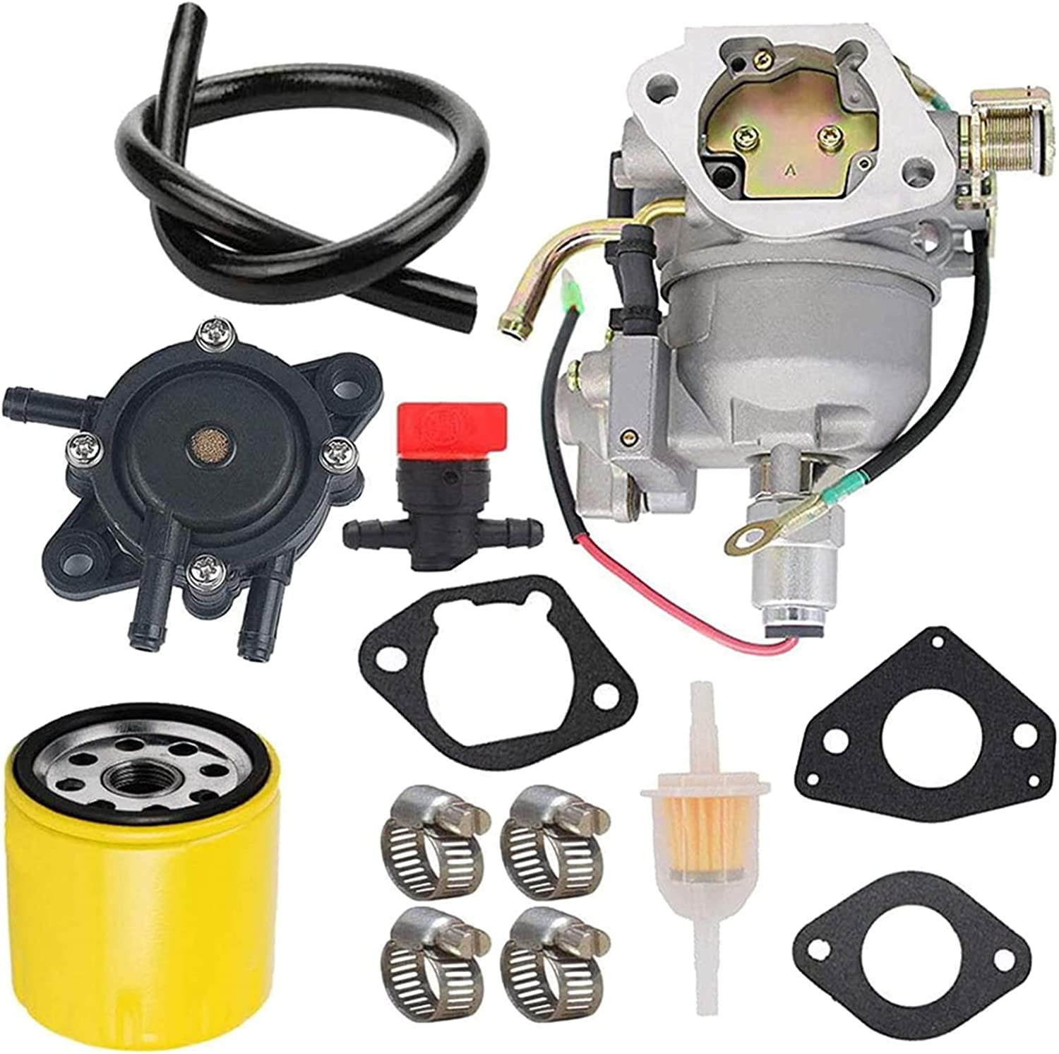 labwork Carburetor 24853102S 24853102S with Fuel Pump Oil Filter