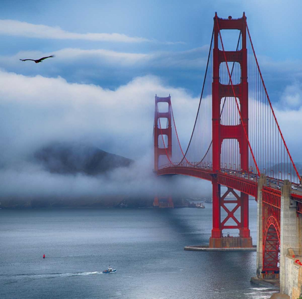 Crane, Rita 20x20 Gold Ornate Wood Framed with Double Matting Museum Art Print Titled - Golden Gate Bridge VIII