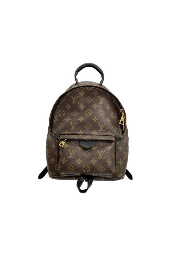 Pre-Owned Louis Vuitton Monogram Palm Springs Backpack PM M44871