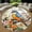 Bird, variant on Round Area Rug, Desert Art Design Non-Slip Floor Mat, Soft Washable Carpet for Living Room Bedroom Decor 24 Inch