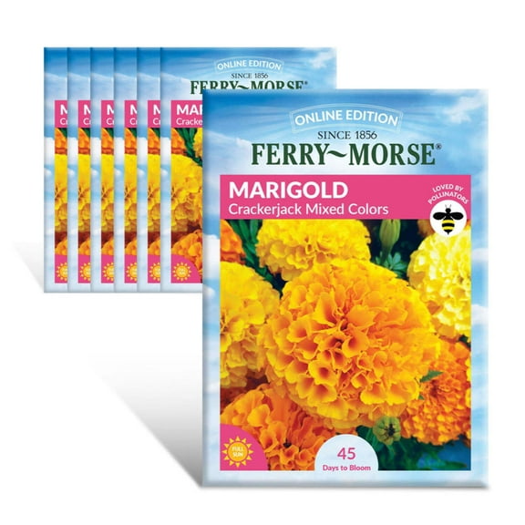 Ferry-Morse Online Edition Marigold Crackerjack Mixed Colors Seed Multipack - 7 Pack