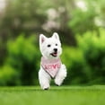 thumbnail image 6 of Sulaicai Valentine's Day Dog Bandana Triangle Pet Scarf Red Pink Heart Love Pattern Valentine Adjustable Bandanas for Small Medium Large Dogs, 6 of 8