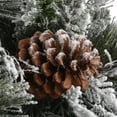 thumbnail image 3 of National Tree Company Pre-Lit Artificial Entrance Christmas Tree, Snowy Bedford, Green, Clear Lights, Flocked, Decorative Base, 4 Feet., 3 of 4