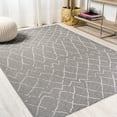 thumbnail image 2 of JONATHAN Y JONATHAN  Y Jerash Moroccan Trellis Indoor/Outdoor Area Rug 8 X 10 - Gray/Cream, 2 of 5