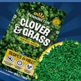 thumbnail image 4 of Pennington Smart Seed Clover & Grass Seed, Sun to Partial Shade, Drought Tolerant, Low-Maintenance Grass, 7 lb, 4 of 15