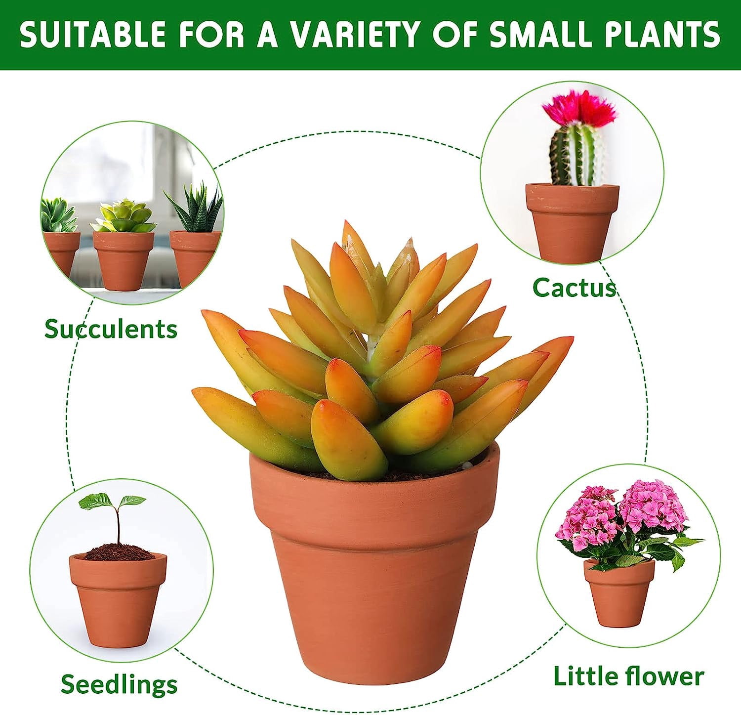 18 Pack Mini Terra Cotta Pots with Drainage Holes, Small Clay Flower Pots for Indoor/Outdoor Plants,Craft Decoration Garden Gift (2 inch )
