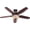 New Bronze finish, variant on Hunter Fan Company 53091 Builder Deluxe Indoor Ceiling Fan with LED Light and Pull Chain Control, 52", New Bronze Finish