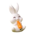 thumbnail image 2 of NWOKYZGH Mini Resin Bunny Figurines, Miniatures for Egg Stuffers, Fairy Garden Accessories, Terrarium Crafts, Cake Toppers, Desk & Car Decorations, Spring Ornaments and Gift Playset, 2 of 6