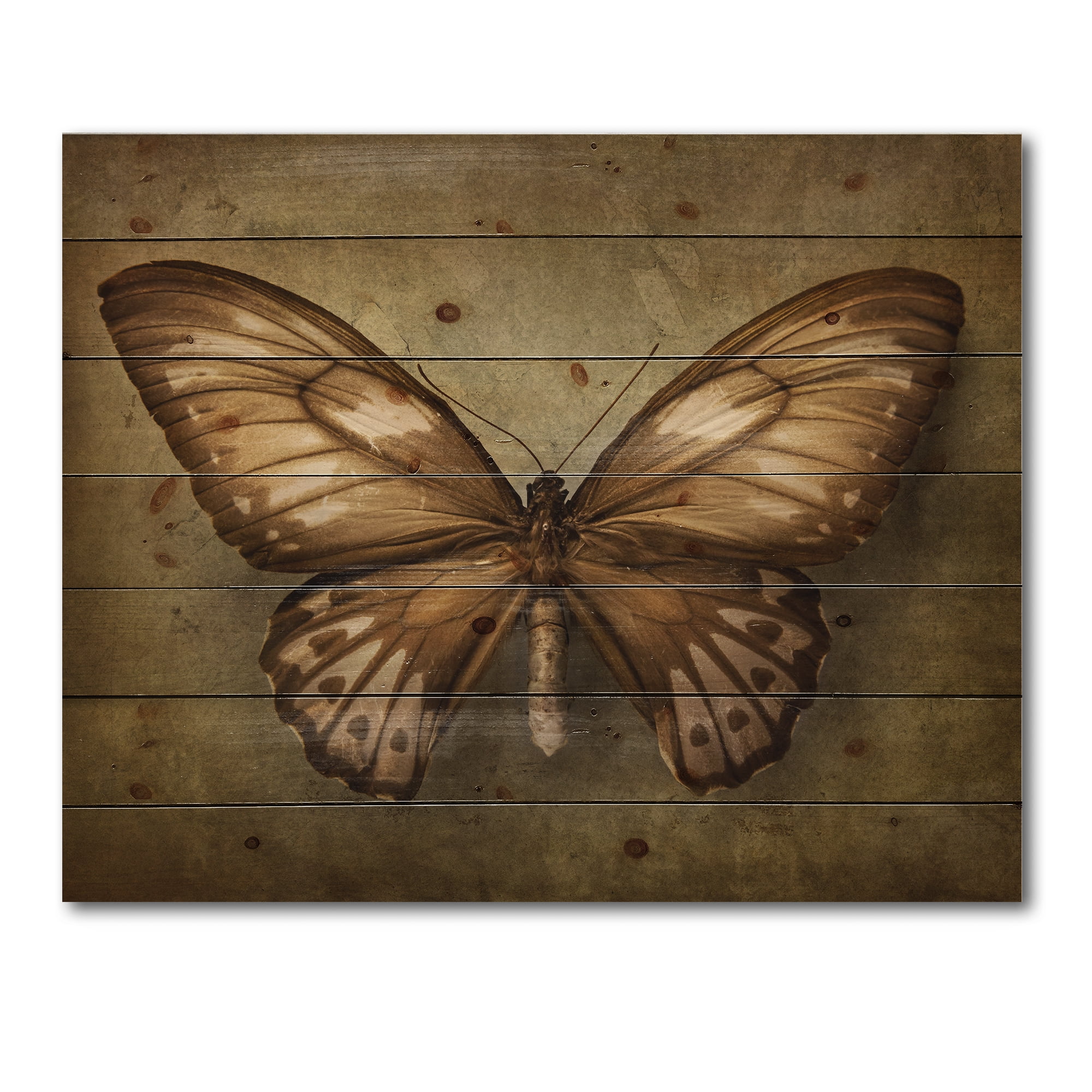 Designart 'Ancient Butterfly In Earth Tones' Vintage Print on Natural Pine Wood
