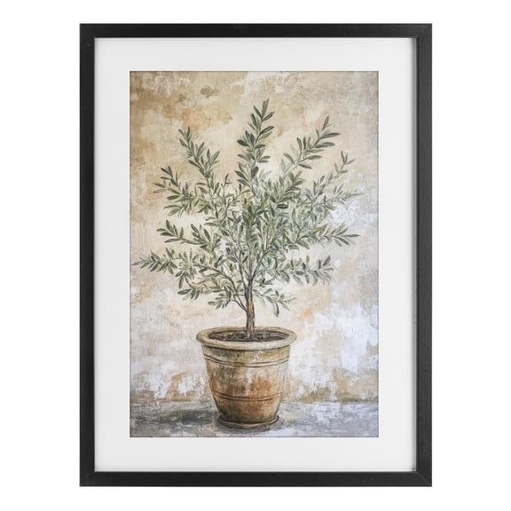 Stupell Industries Traditional Mediterranean Potted Olive Black Framed Print Under Glass, 14 x 20, by Petals Prints Design