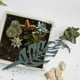 thumbnail image 4 of 5 soportes para plantas trepadoras, enrejados para jardín con forma encantadora., 4 of 8