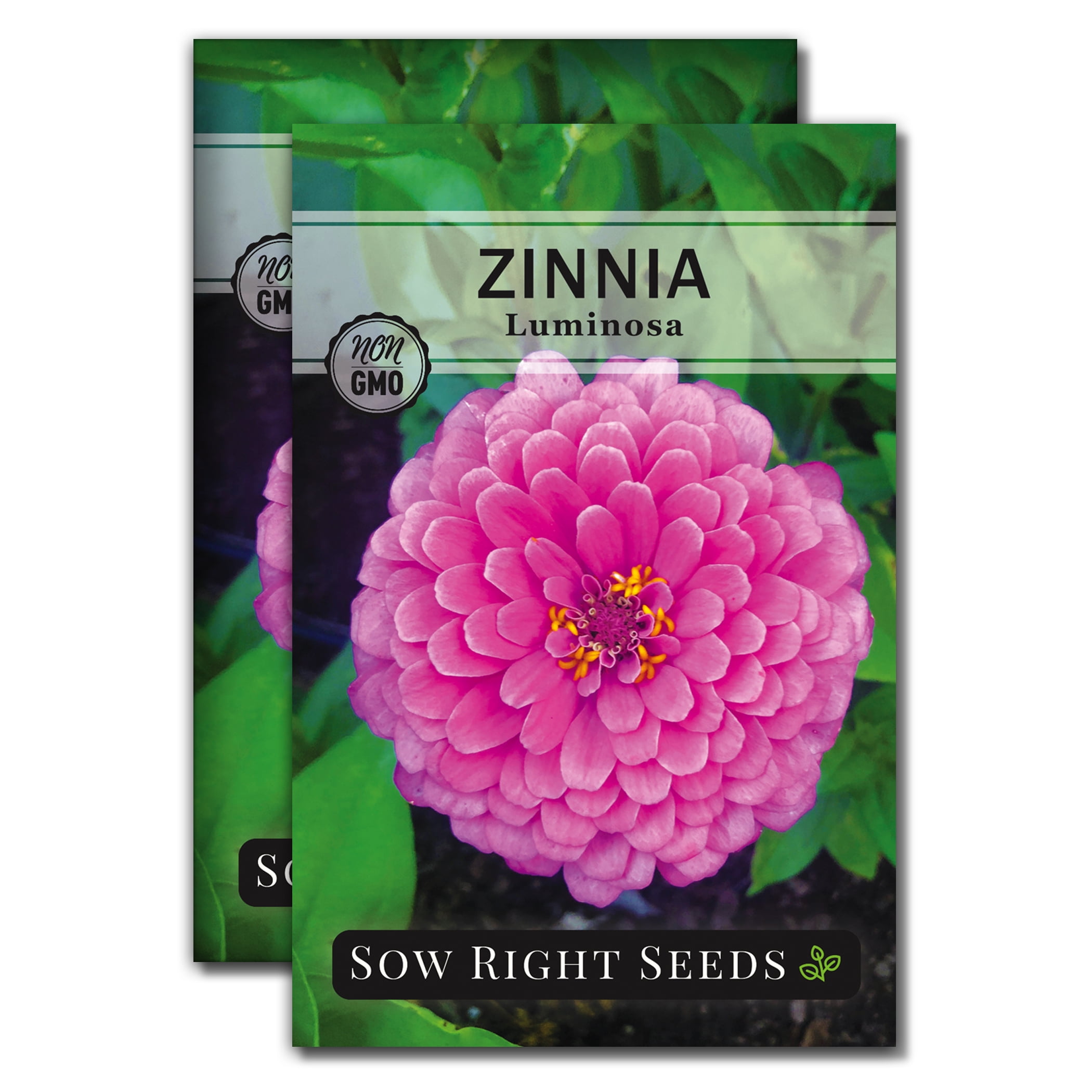 Luminosa Zinnia Seeds - Non GMO Heirloom Varieties for your Flower ...