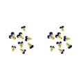 thumbnail image 4 of Wosthever 12 Pieces Dried Flower Crafts Simple Prop Make Accessories DIY Cosmetic Flowers Exquisite Decor Pressed Craft Style Tipo 1 2Conjunto, 4 of 6