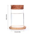 thumbnail image 2 of CreativeArrowy 1pcs Hydroponic Flower Pot Plant Vases Elegant Glass Bottle Wooden Cork Table Bonsai Home Living Room Decor, 2 of 12