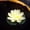 Beige, variant on Tunhigl Water Sensing Solar Powered Floating Lotus Pool Lamp with LED Lights - Automatic On/Off for Ponds, Gardens, Diwali Decor, and Festive Parties Pink