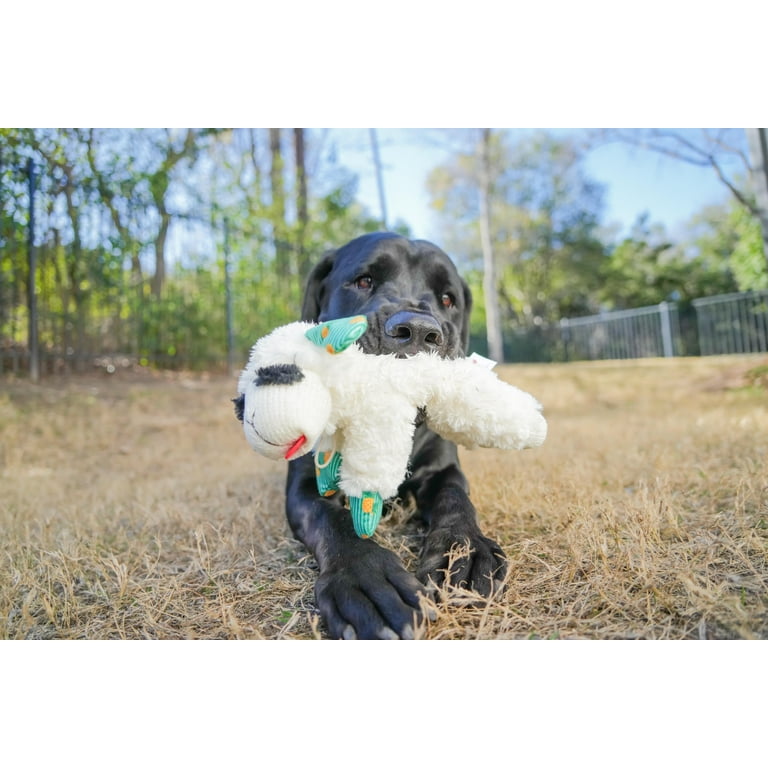 Multipet Summer Lamb Chop, Plush Dog Toy, Pineapple Pattern, 10.5