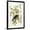 Black Frame, variant on Art.com American Crow, 1833 Giclee Print by John James Audubon, 12" x 18"