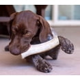 thumbnail image 2 of Perfect Pet Chews - Deer Antler Chew For Dogs - Medium Treat, 2 of 9