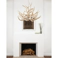 thumbnail image 4 of Regina Andrew 16-1380 Waylon 12 Light 34" Wide Antler Candle Style Chandelier - Natural, 4 of 5