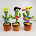 thumbnail image 1 of Lovely Dancing Cactus Doll Baby Speak Talk Sound Record Repetir Juguete Kawaii Cactus Juguetes para Ni?os K ZefeiWu 1327534224917, 1 of 1