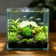 thumbnail image 2 of Glow In Dark Silicone Sea Anemone Ornament, Luminous Artificial Coral Plant Fish Tank Decor Aquarium Landscape Underwater Decoration in 5 Colors, 2 of 6