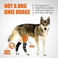 thumbnail image 4 of 1 Pair Dog Rear Leg Brace Canine Rear Hock Joint Support With Safety Reflective Straps For Joint Injury Sprain Protection, 4 of 5