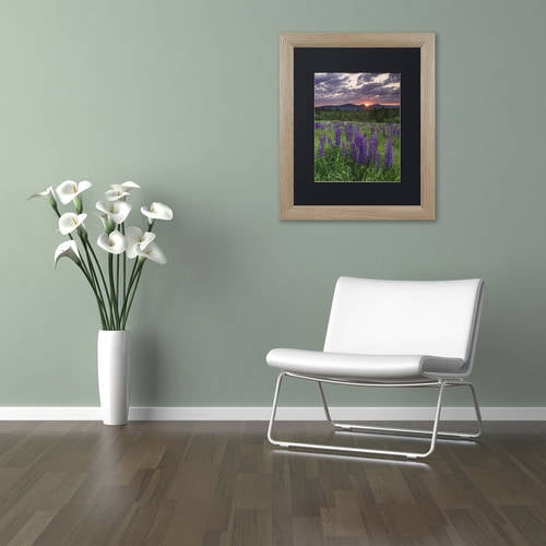 Trademark Fine Art "Moody Sunrise" Canvas Art by Michael Blanchette Photography Black Matte, Birch Frame