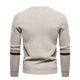thumbnail image 4 of Primavera y otoño de los hombres Nuevos hombres jóvenes Prendas de punto Slim Fit Cuello redondo Suéter Suéter Camisa de fondo de color sólido informal Suéter de gran tamaño Pompotops oipoqjl39984, 4 of 6