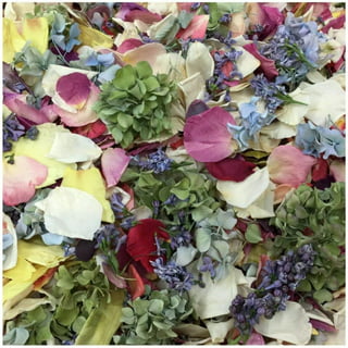 Preserved NEW! Candy Freeze Dried Hydrangea Petals Eco-friendly &  Bio-degradable