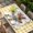 yellow, variant on Pig Sunflowers Table Cloths for 4 Foot Rectangle Tables, Yellow Floral Black White Checkered Rustic Patio Waterproof Elastic Fitted Tablecloths, Washable Rectangular Table Cover for Camping