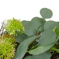 thumbnail image 4 of Northlight Eucalyptus and Olive Leaf Floral Twig Spring Wreath, Green  23-Inch, 4 of 4