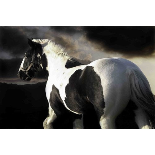 Marmont Hill "Halo" by Maggie Dee Painting Print on Canvas