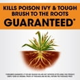 thumbnail image 3 of Roundup Poison Ivy Plus Tough Brush Killer with Comfort Wand, Visible Results in Hours, 1 gal., 3 of 9