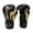 6OZ Black, variant on BLEEUS Muay Thai Competition Gloves Pu Leather Sponge Boxing Gloves Fitness Supplies (6OZ Silver)