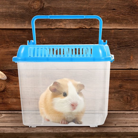 WHAMVOX 1Ud Caja De Alimentación Para Reptiles Y Peces Transparente Con Material Duradero
