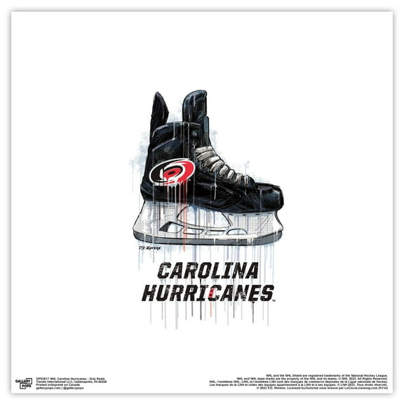 Gallery Pops NHL Carolina Hurricanes - Drip Skate Wall Art, Unframed Version, 12" x 12"