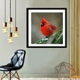 thumbnail image 3 of DIY 5D Diamond Painting Kit (For Adults) Diamond Painting "Cardinal Bird" - Full Diamond Crystal Rhinestone Embroidery Craft Kit, Can Be Used as Gift, Wall Decoration, 3 of 7