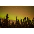 thumbnail image 2 of Illg, Cathy and Gordon 32x23 Gold Ornate Wood Framed with Double Matting Museum Art Print Titled - AK, Fairbanks Aurora borealis and star trails, 2 of 4