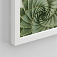 thumbnail image 5 of PixonSign Framed Wall Art Prickly Green Cactus Posters, Set of 2 Southwest Texas Arizona Desert Plants Illustrations Wall Decor, Adhesive Canvas Prints for Home Decor - 11"x14" White, 5 of 5