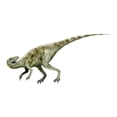 thumbnail image 1 of Affiche Imprimée de Dinosaure Staurikosaurus, Fond Blanc (32 x 24), 1 of 1