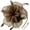 Brown, variant on Fascinators Hat Tea Party Headwear Ribbons Feathers on a Headband and a Clip for Women