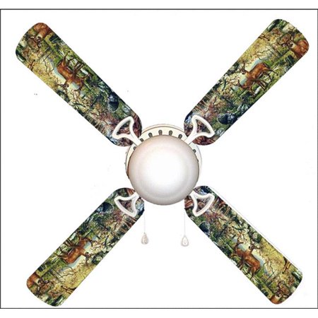 888 Cool Fans F42 0001083 42 In Outdoor Wildlife Deer Racoon