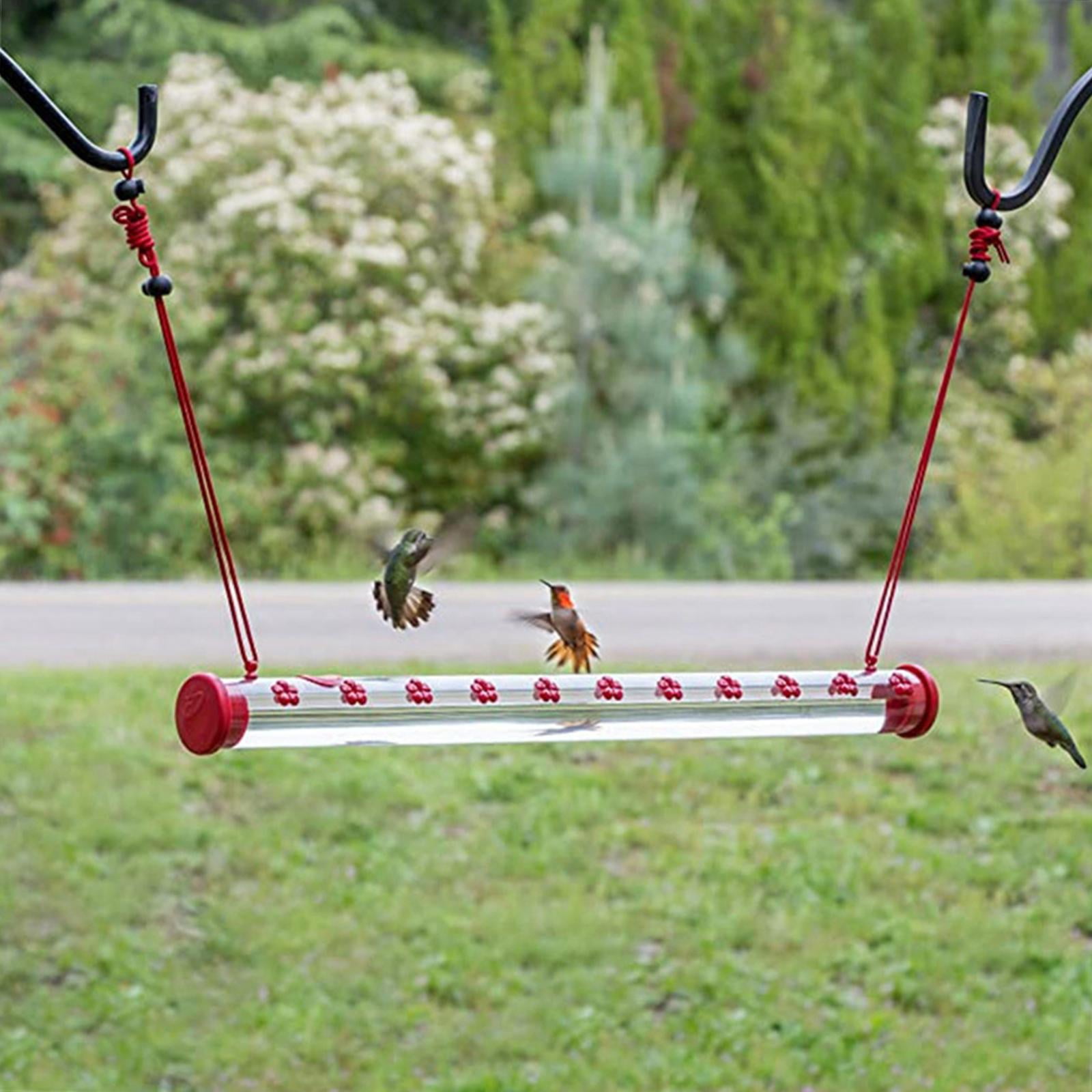 Garden bird accessories online