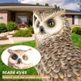 Ovewios Owl Garden Statues DHF10 Outdoor Decor, Perching Forest Owl on ...