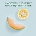 thumbnail image 2 of Colonia y Desodorizante en Aerosol TropicLean Essentials Yuzu Fruit, 2 of 7